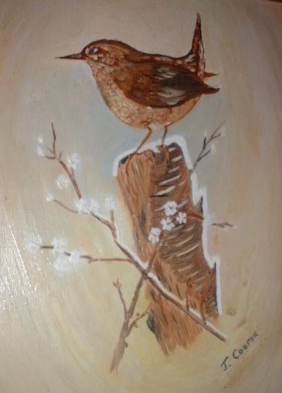 a wren