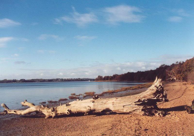 suffolk nacton foreshore