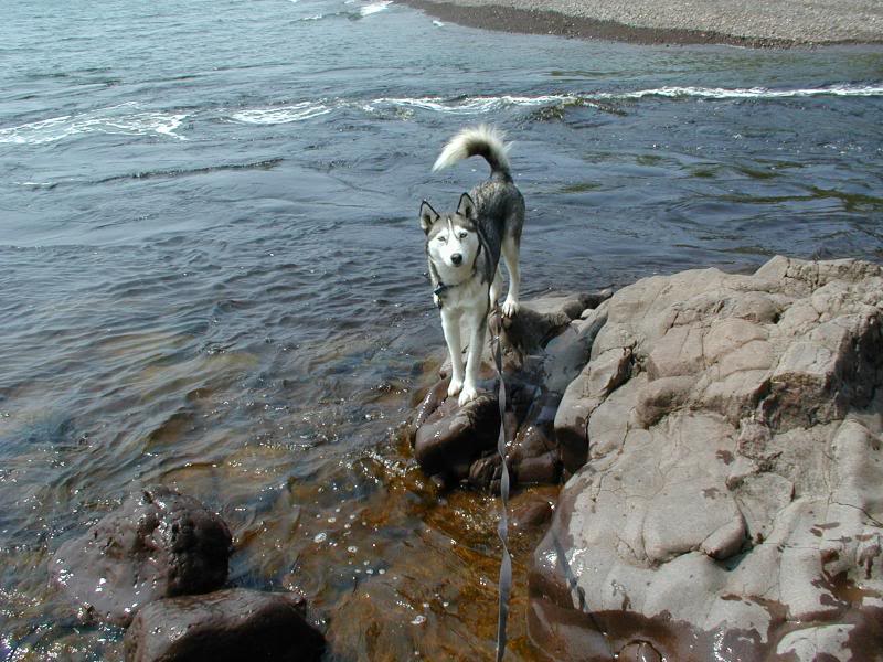Sugar at Temperance River