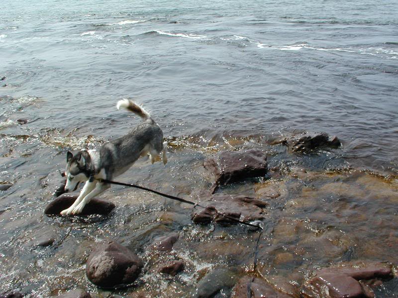 Sugar in Lake Superior