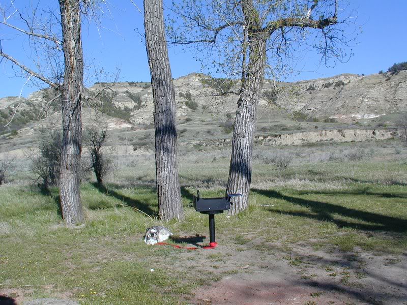 Sugar in the Badlands