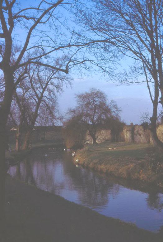 winter in abbey gdns 1966
