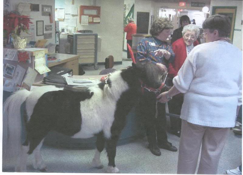 2001-dec-25-luc ky-dec-25,sandy 2001