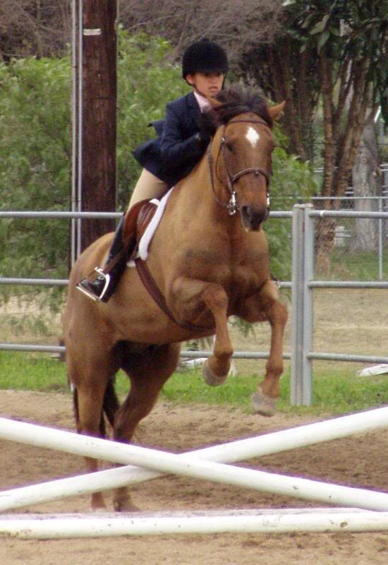 69827147wOiXGC_ ph brittney dekota silver spur.