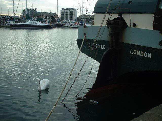 sfk Ipswich Wet Docks with The Thistle barge in Port (J...