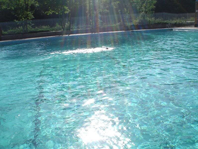 Early morning at Tooting Bec Lido Swimming Pool 5