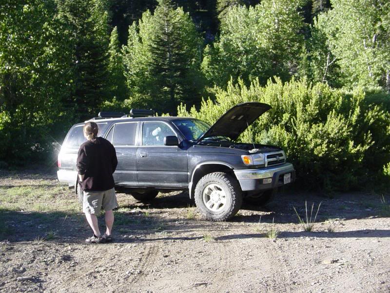 A marmot under the hood woke us up. The insulation on ...