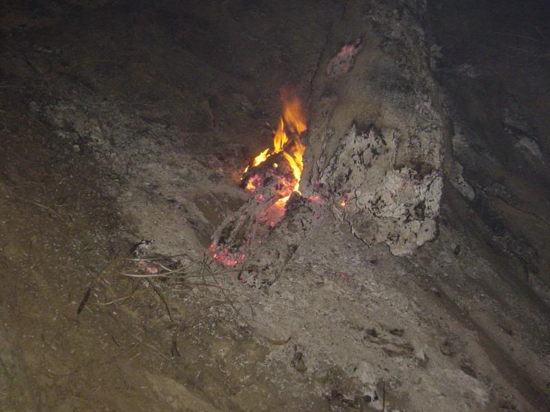 Driving to Mineral King, we went thru a controlled burn...