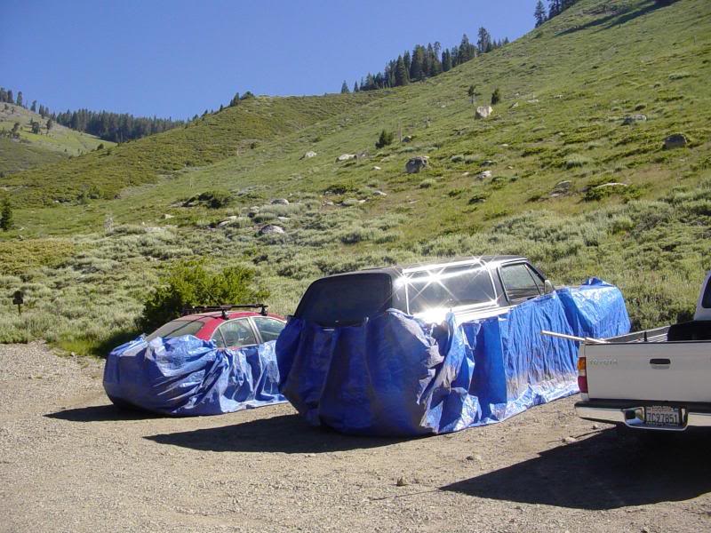Using a tarp to marmot-proof your vehicle