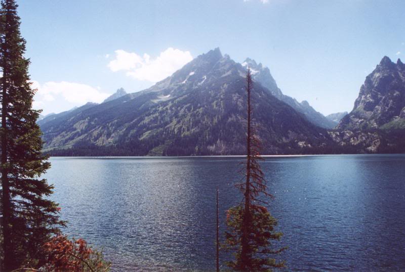 Jenny Lake from Bottom