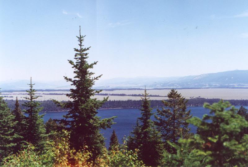 Overlooking Elk Meadows