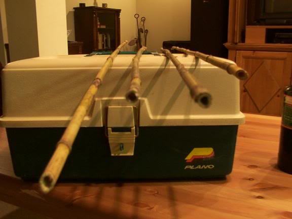 pre..anything. not exactly straight!