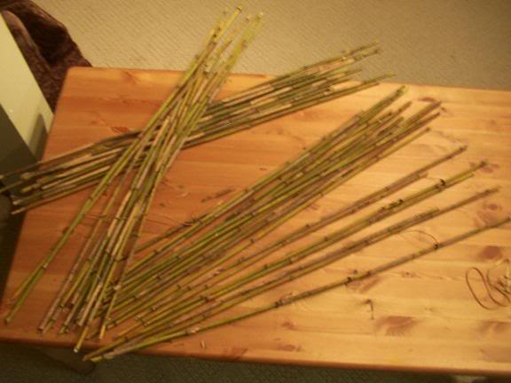 preliminary sorting of the cane