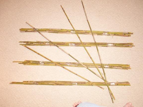 sorted into three sizes