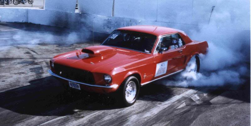 Mustang at the Terminal