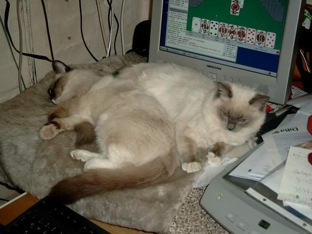 Dabeisein ist alles:-)