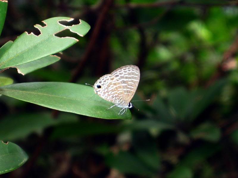 �j���R����03081 8���l�sIMG_0108