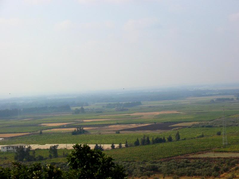 Akkar Plain