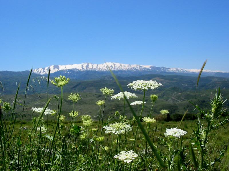 Scenic image Akkarian mountains in the Spring