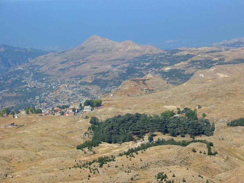 Cedar Forest From Above , Showing Becharri The Village ...