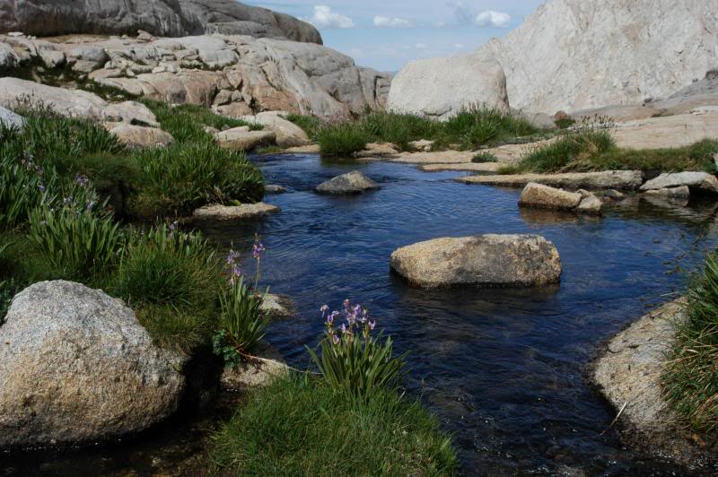 Where Meysan Creek begins