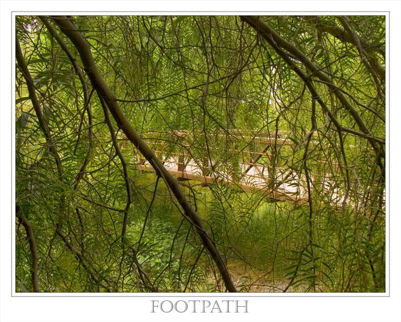 Bike Path, Livermore, CA