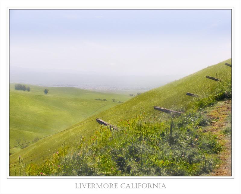 Livermore CA
