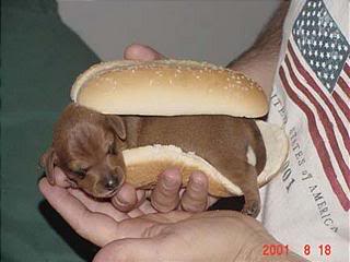 �u���� Hot dog