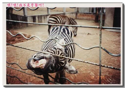 �� ! �����O������!