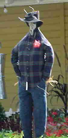 desert cowboy adult ind straw division