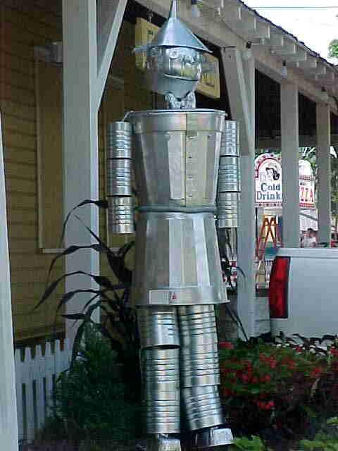 tinman adult ind non straw