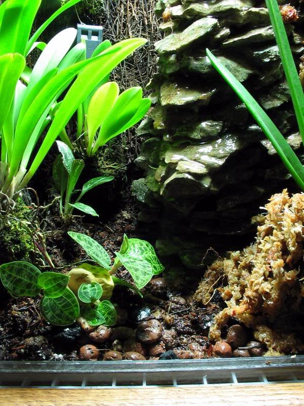 Closeup w/ Waterfall