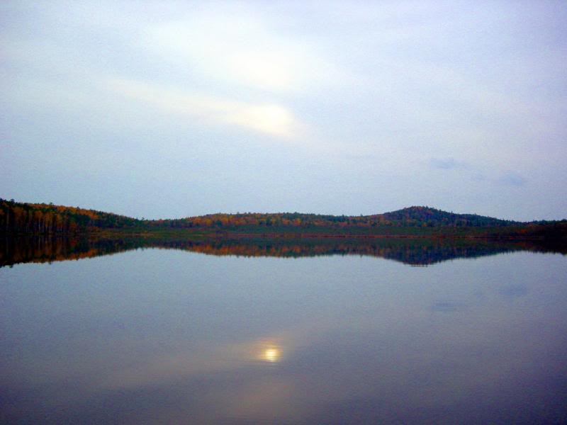 Ekaterinburg, Ural, Russia, Forestlake