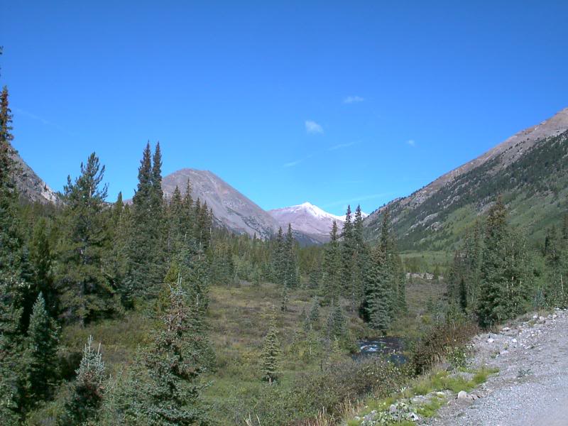 Mosquito Pass Road 5