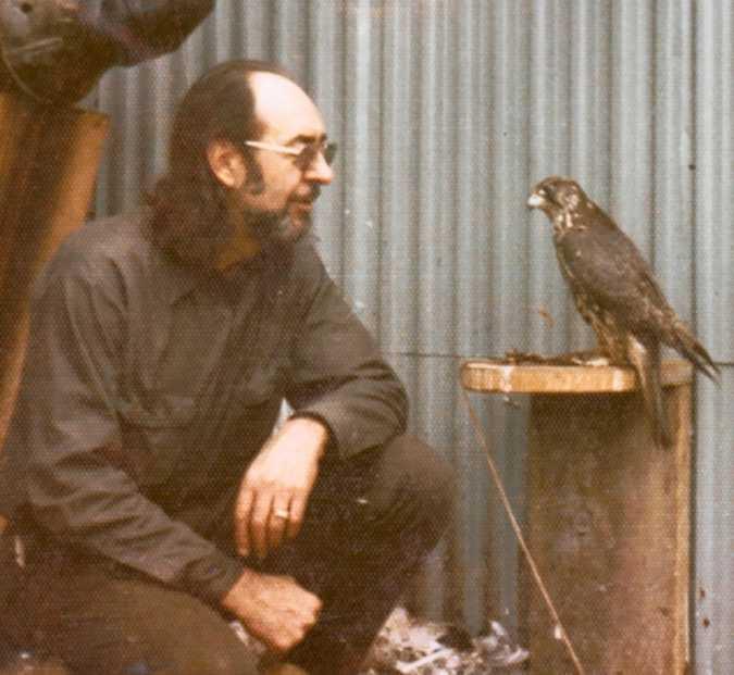Hawk Mew early 70's