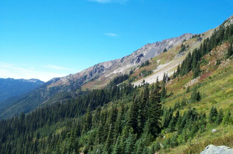 Bailey's looking North