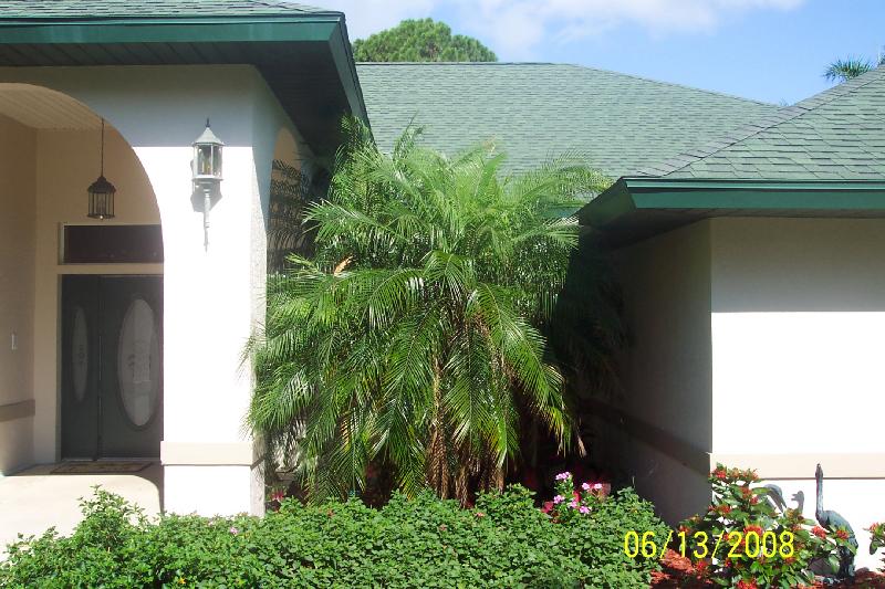 Pygmy date palms (June 2008)