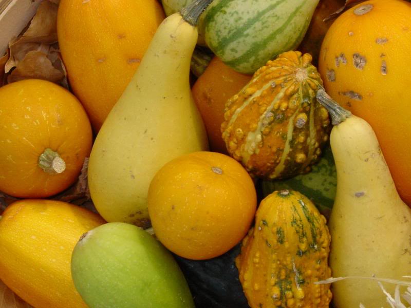 Gourds