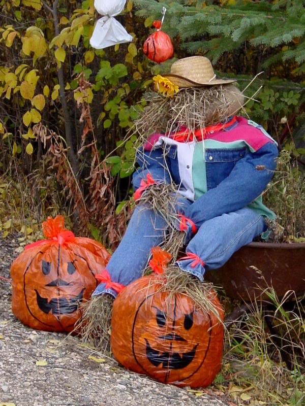 Halloween Decorations