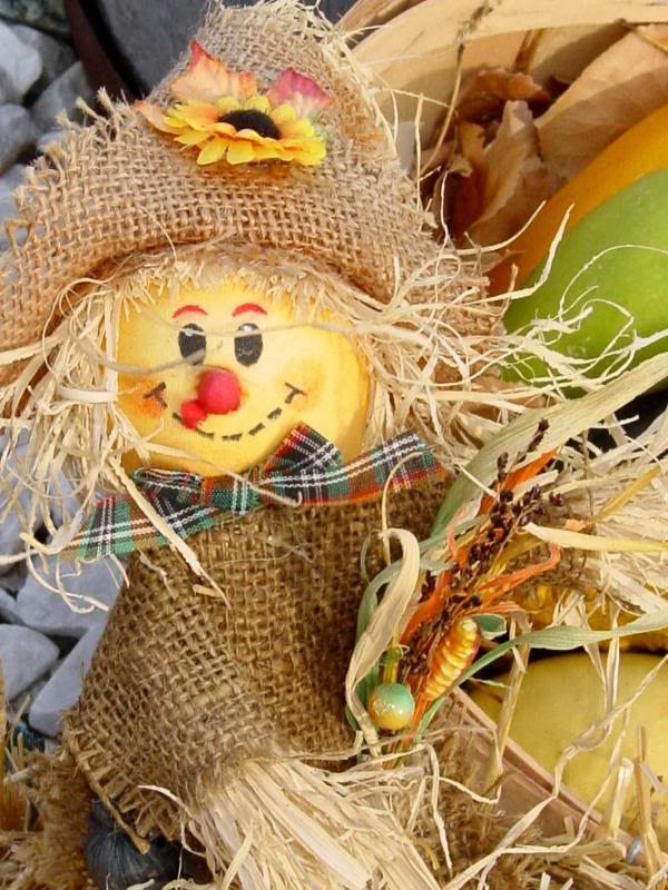 Yellow Face Scarecrow