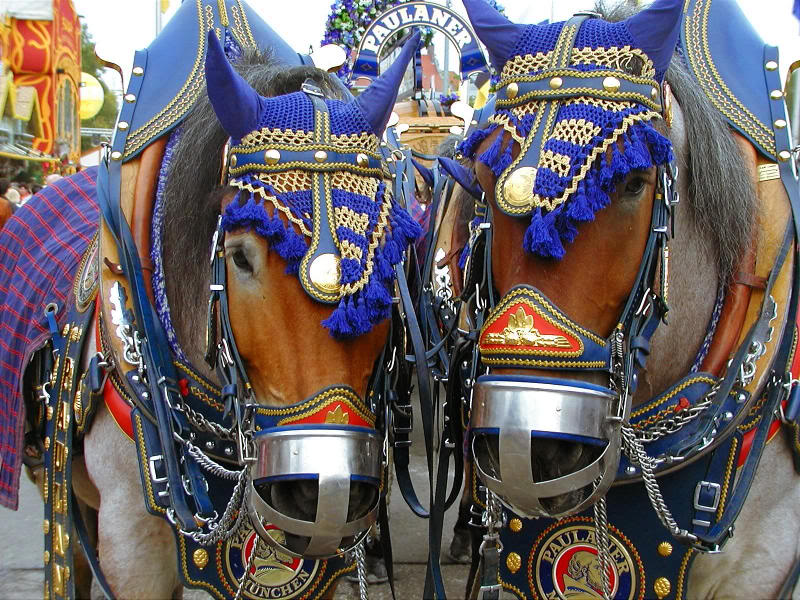 Paulaner Wagon Team Leads