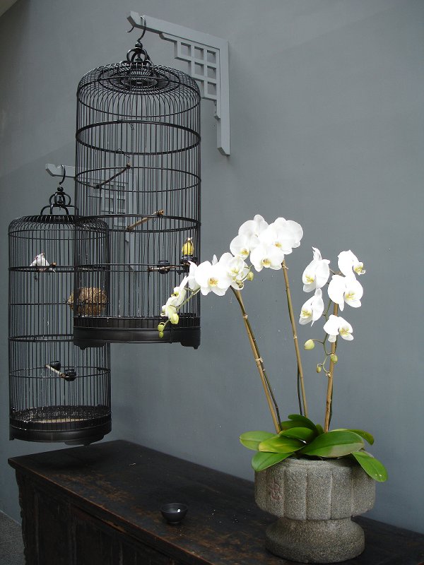 Lalu Hotel Decoration