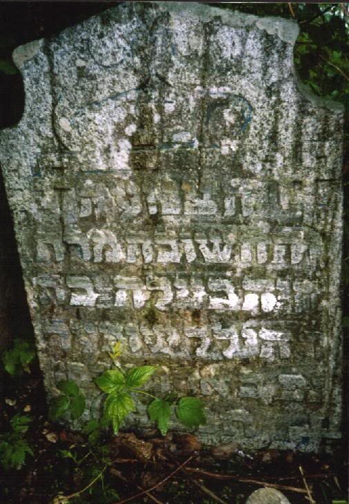 khaya beila bat hillel super