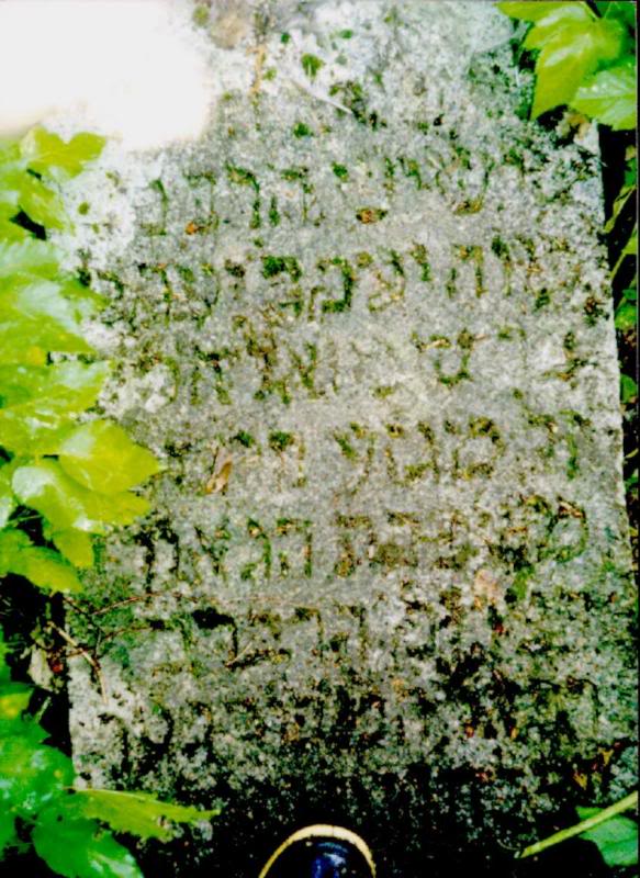 of the family of hagaon 2