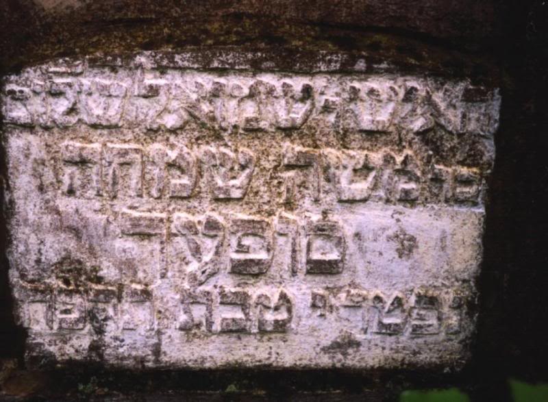 shmuel sholem ben moshe simkha super