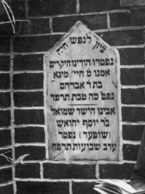 shmuel super grave plate korsovka