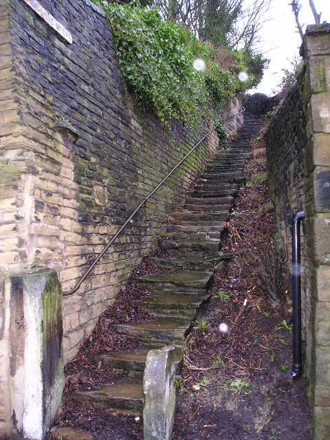 Washer Lane Steps